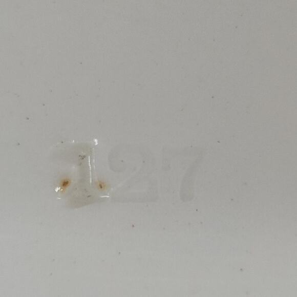 Enoch Wood's English Scenery Wood & Sons Cottagecore Red Transferware Chop Plate - Picture 11 of 13